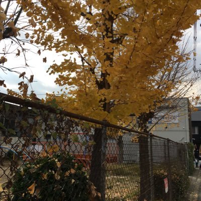 hyRAhlpAOcsROEe's profile picture. 