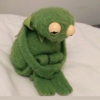 4n0nYm0us415's profile picture. I dont exist