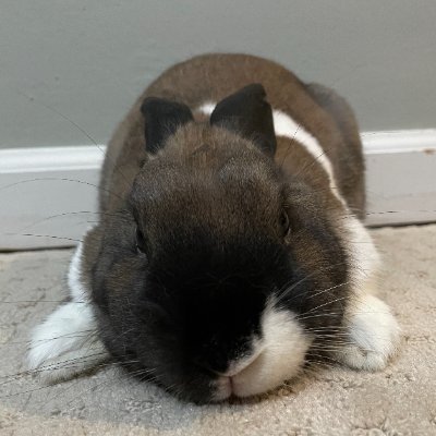 naotoj's profile picture. Now as @naotoj.bsky.social at Bluesky