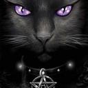 Nancy Gaskin - @Luna_WhiteClaw - Twitter