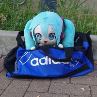 セロニアス (@hi_lomiku01) Twitter profile photo