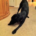 Eric Tracy - @E_tracy2009 - Twitter