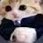 GrabMeLil"Dragons" (@grabmelildragon) Twitter profile photo GrabMeLil"Dragons" (@grabmelildragon) Twitter profile photo