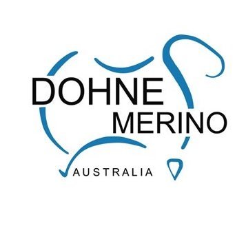 Australian Dohnes are a well balanced and versatile breed producing a stylish white apparel wool and a fast growing prime lamb. Dohnes the Smart Choice