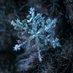 Snowflake (@1snow1flake1) Twitter profile photo Snowflake (@1snow1flake1) Twitter profile photo
