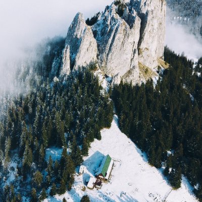 psglgd1365947's profile picture. 