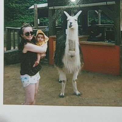 adlereagle123's profile picture. For God so loved the world that he gave his only son
🔬🔭🔎 where am i 👁️
#pokemongo 4220 2974 0806
🇺🇲🇲🇽🇳🇴