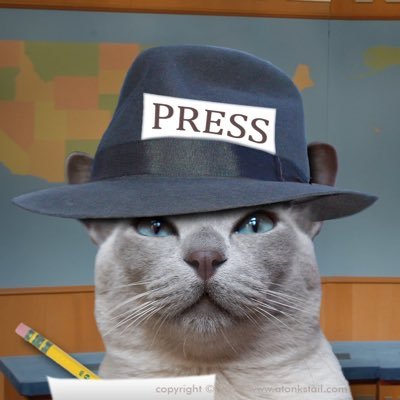 Journalism professor and student media adviser at San Diego Mesa College. Proponent of PAID internships. Not a cat. #JournalismMatters