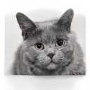 Vasquez Joel ♥️ Memecoin - @VasquezJoe99920 - Twitter