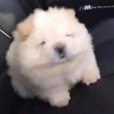 kerotacu's profile picture. deleted twitter - im on tiktok w the same user