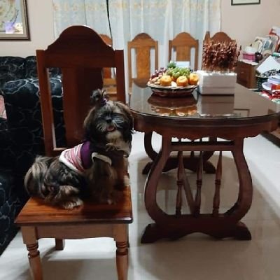 Daena183's profile picture. 💉