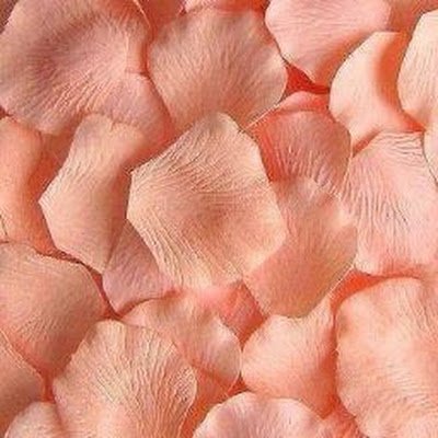 arcaneryun's profile picture. 