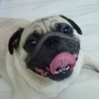 Gang (@gangsb3829061) 's Twitter Profile