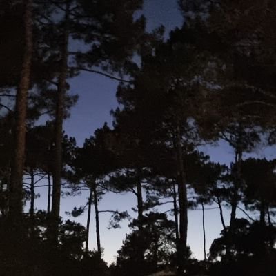 ben22777's profile picture. Just a bag of meat with a quantum mind trying to make sense of a linear existence