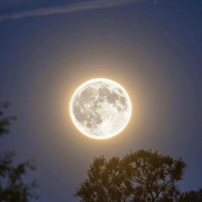 Arjun_Naidu_PK's profile picture. King Kalyan •-• MR.C ❤🤙💥