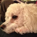 Scott Wiley - @scottwiley74 - Twitter