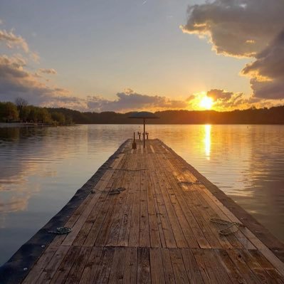 Souther85430101's profile picture. American Patriot 🇺🇸❤️
