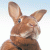 these are my Tweets
