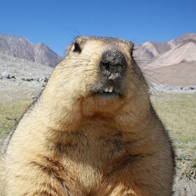 DARAKUさんのプロフィール画像