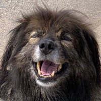 ebinahisao (@ebinahisao) 's Twitter Profile