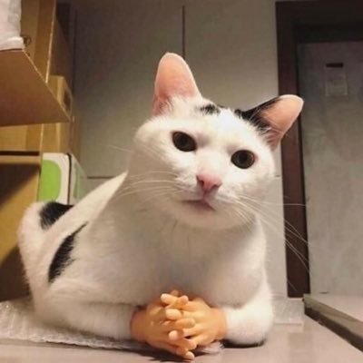 hassanmagoree's profile picture. whatever it takes !