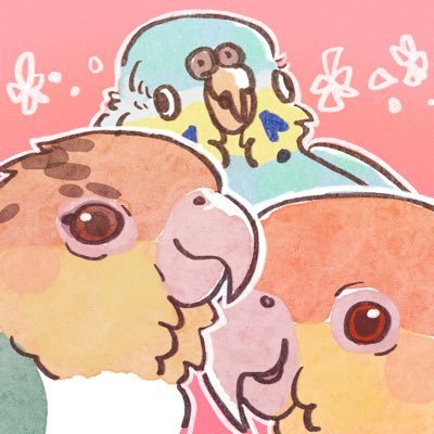 シロハラ🔰 3羽の鳥と暮らしながら鳥類の絵を描いています。SUZURIにて鳥グッズ発売中！ https://t.co/G2papbkYnn アイコンの有償依頼受け付けております。ご相談はDMまで🌸