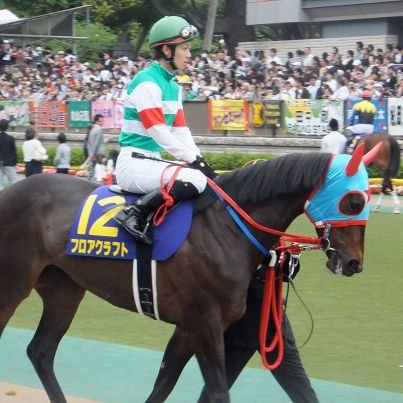一口馬主はたくさん走って運動会派🙆(大物は時の運)🥕🦁
クワガタブリード中!
お仲間さんよろしくです😊