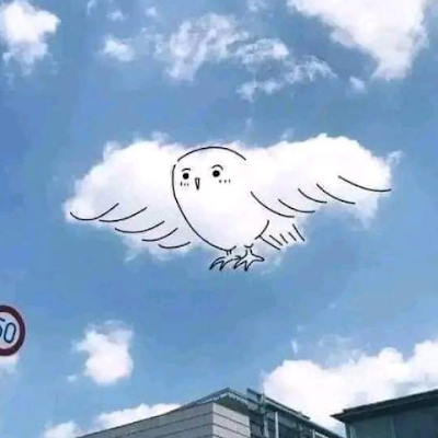 CarlosEdua30663's profile picture. 