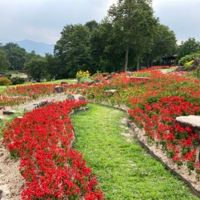 chakotti22's profile picture. 主人が2023年2月肺がんの手術😢その後間質性肺炎合併😢人工呼吸器挿管😭5月転移再発😭6月抗がん剤治療開始😢8月間質性肺炎悪化😢10月何度も困難を乗り越え、私のために諦めずに治療頑張ってくれた。いつも優しい笑顔で私の事をとても大切にしてくれた。ずっと大好き🩷長年仲良し夫婦❤️唯一無二の最高の夫だ‼️