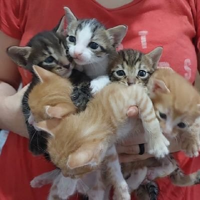 chemistogrtmn's profile picture. 