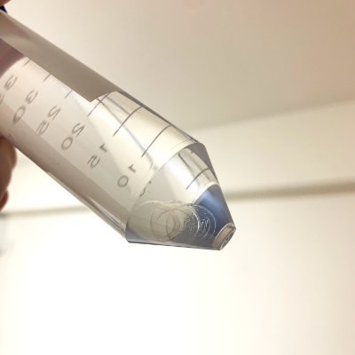 3Dプリントやヒト細胞の培養に関する技術を日々習得中です👨🔬
以前は、藻(も)に関わる研究を8年ほどしていました。