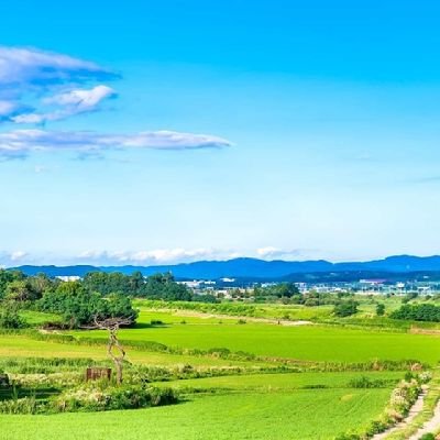 Angeourielvy's profile picture. BAYOM HAYOU YIYHE HACHEM EHAD UCHMO EHAD