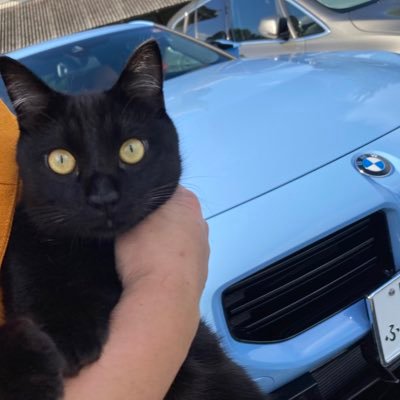 猫🐈‍⬛車🚗時計⌚️が好きな飼い主(28)と人間の食べ物が好きな黒猫のすぴか(♂)です 無言フォローすみませんm(_ _)m BMW好きなのでBMW乗りの方と仲良くしたいです😆