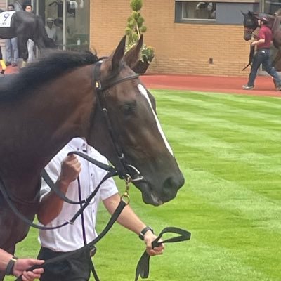 garitakeiba's profile picture. シルク(19年産〜)とキャロット(20年産〜)で一口馬主やってます。 競馬予想、POGもやってます。