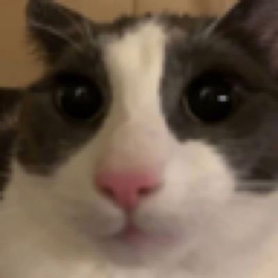 i like bunnies, women , men and goku and luffy
i am fortnite fan,