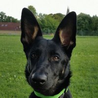 AJ (@eumetaverse) 's Twitter Profile