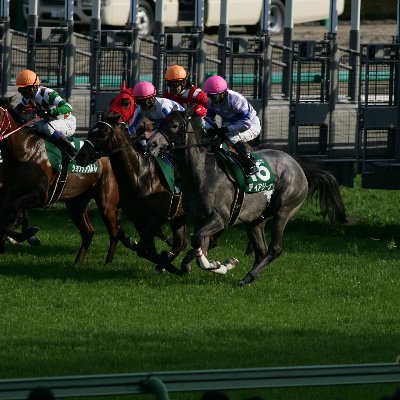 投資回収には無頓着な一口馬主Lifeを送っています。競馬歴30年。好きな馬はメジロマックイーン。YouTubeチャンネルで、出資馬の近況などを配信しています。
【YouTubeチャンネル】https://t.co/GJL92jfSLF
【出資馬】https://t.co/ObQz3uYIiu