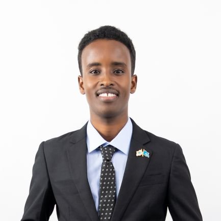 ElmiEngr's profile picture. Electrical Engineer |Climate Activist| Researcher | IEEE Member | Solar Designer | Entrepreneur |