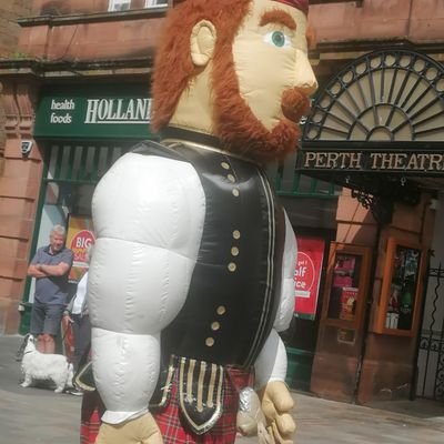 carolan49121144's profile picture. 