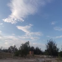 quoc_thinhzri (@quoc_thinh80857) 's Twitter Profile