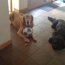 horacio bernardo - @hbernardo45 - Twitter