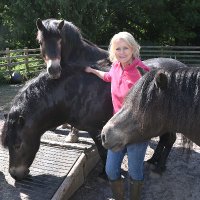 Exmoor Pony Project & Dawn Westcott(@ExmoorPonyClub) 's Twitter Profile Photo