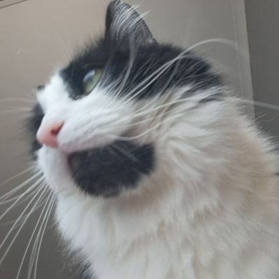 thereelpearl's profile picture. mini diary ng adik sa kape