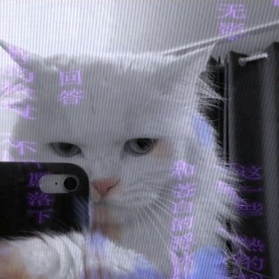 syre2772's profile picture. #ISLM_MAXI