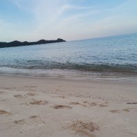 danhvangip (@danhvan405971) 's Twitter Profile