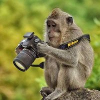 Ibnyusuf (@ibnyusuf577) 's Twitter Profile