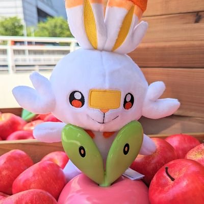 舟入さんのプロフィール画像