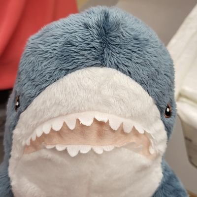 Gregyr6's profile picture. 