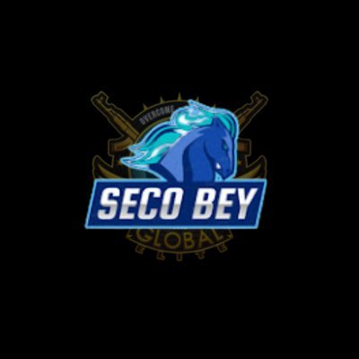 secobey0 Profile Picture