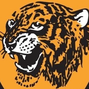 Love City and the new owner, but have asked the club if we can please have our tiger back, the one with the STRIPES!
#hcafc #YesToOurTiger